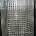 hot dip electro galvanized welded wire mesh